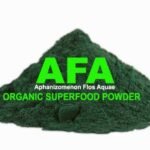 WhatsApp Image 2025-09-25 at 11.00.46 AM